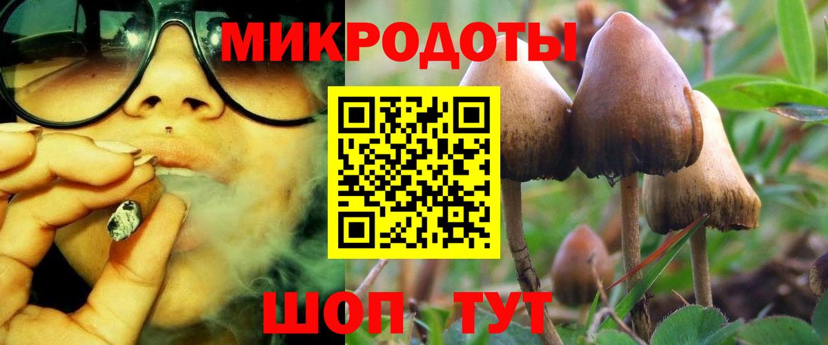 Щёкино  Псилоцибиновые грибы мицелий  Псилоцибиновые грибы ЛСД  Вход с VPN 