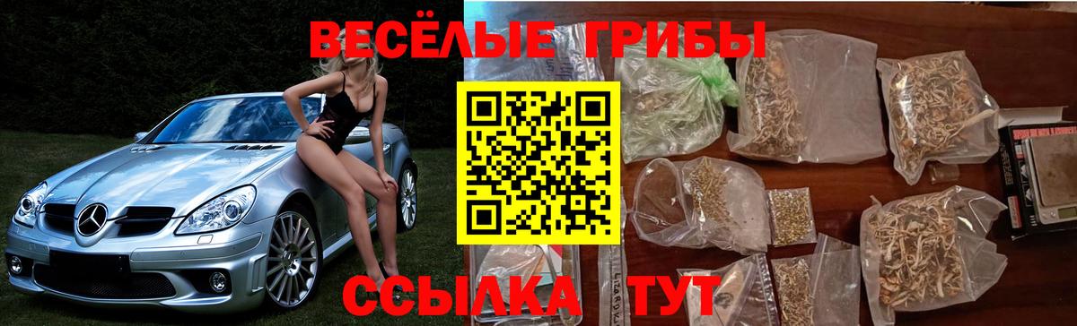 Галлюциногенные грибы прущие грибы Щёкино