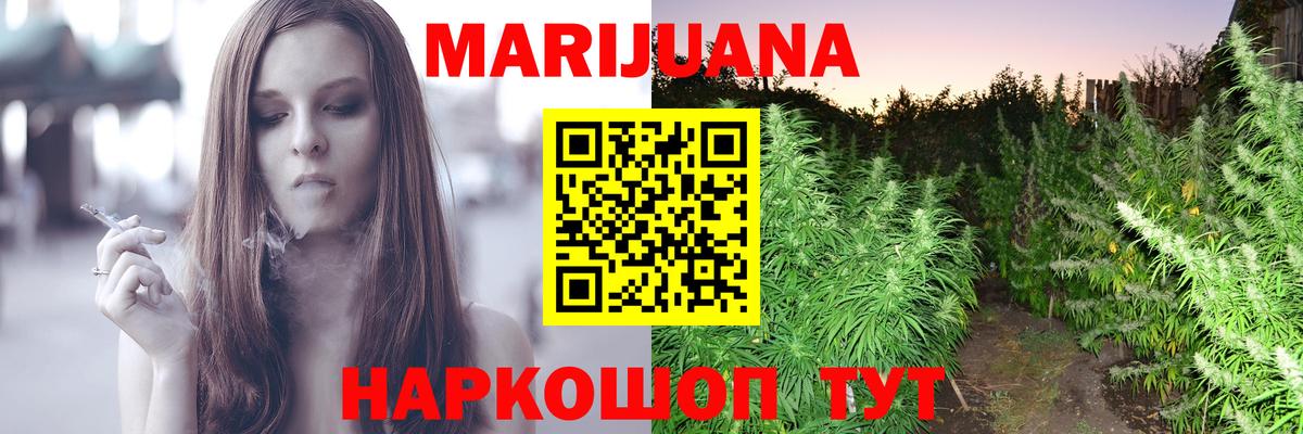 Каннабис планчик  Бошки Шишки марихуана  Марихуана SATIVA & INDICA  Щёкино  Вход с VPN 